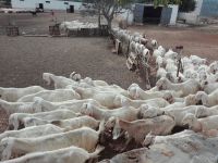 sesta tappa puglia slow tour