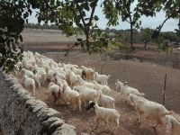 sesta tappa puglia slow tour